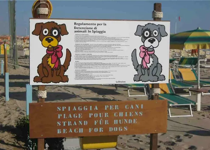 Belvedere Vista - Seafront