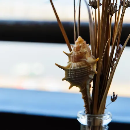 Belvedere Vista - Seafront شقة فندقية