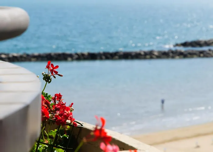 Hotel apartamentowy Belvedere Vista - Seafront Rimini