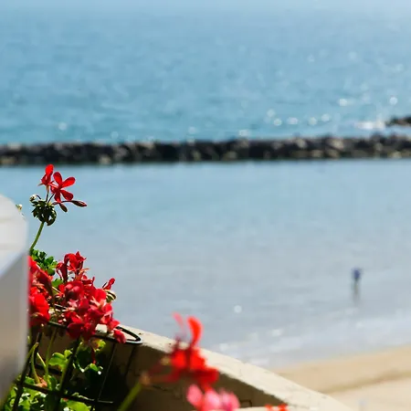 Aparthotel Belvedere Vista - Seafront Rimini
