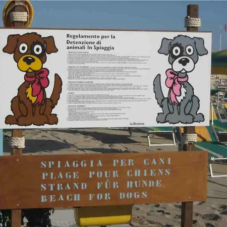 Belvedere Vista - Seafront